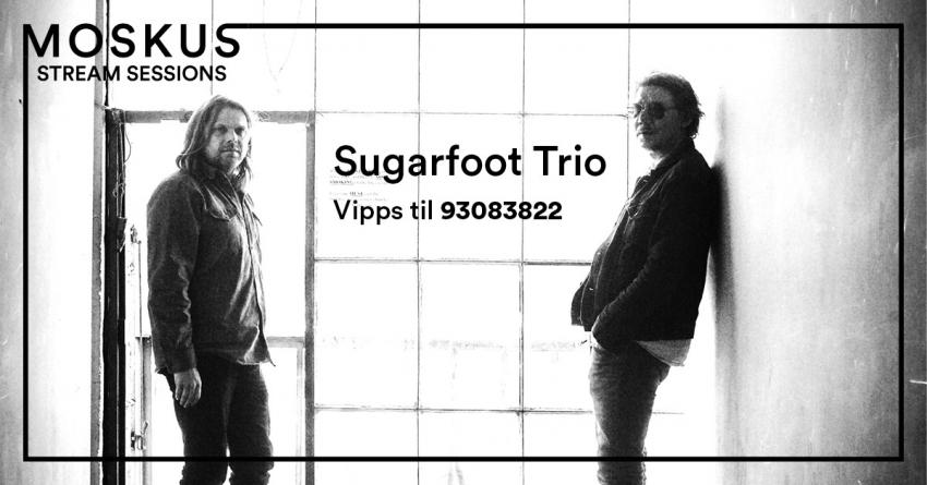 Sugarfoot Trio